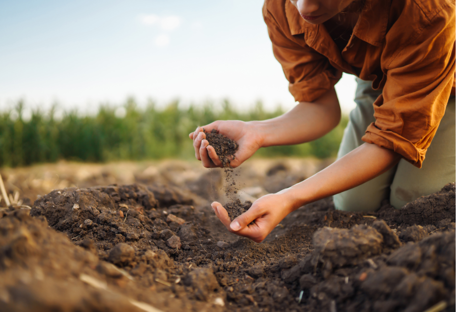 person touching soil
